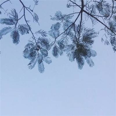 draw army手游下载